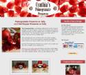 Cynthia's Pomegranate Preserves