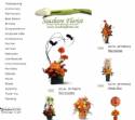 Seashore Florist