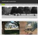 Thorpland Plantation